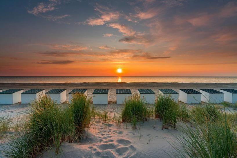Beautifull House Beach Life 47 Де-Коксдорп Экстерьер фото